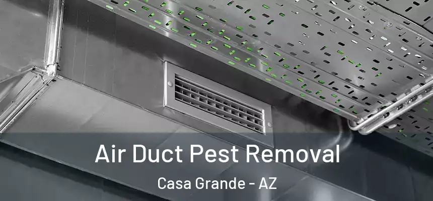  Air Duct Pest Removal Casa Grande - AZ