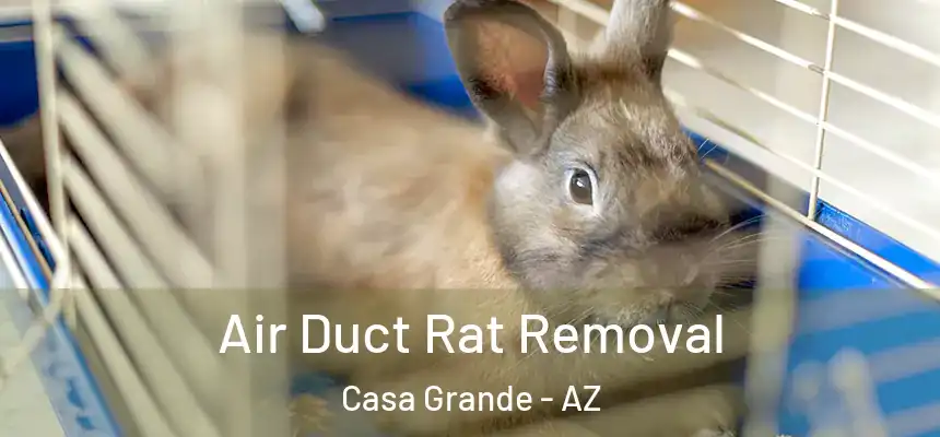  Air Duct Rat Removal Casa Grande - AZ