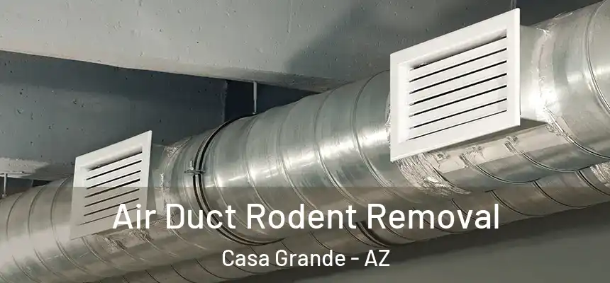  Air Duct Rodent Removal Casa Grande - AZ