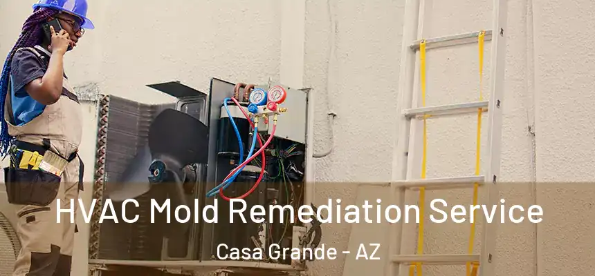  HVAC Mold Remediation Service Casa Grande - AZ