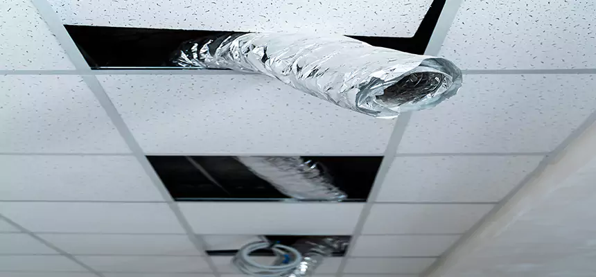 Our Air Duct Pet Hair Removal Services in Casa Grande, AZ