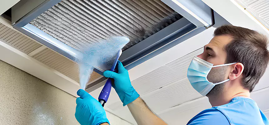 Proactive Dryer Vent & Auxiliary Duct Pollen Cleanup in Casa Grande, AZ