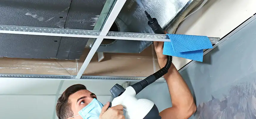 Our Air Duct Rodent Removal Services in Casa Grande, AZ