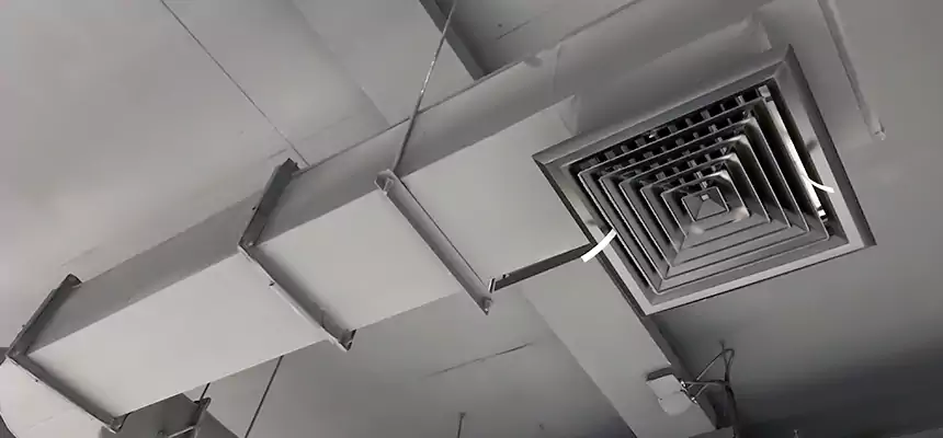 Our Pest Removal From Ducts Services in Casa Grande, AZ