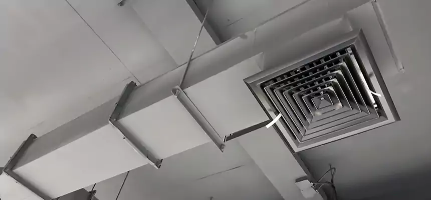 Our Rodent Droppings In Vents Services in Casa Grande, AZ