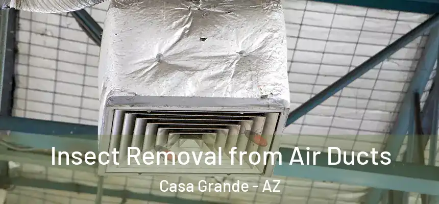  Insect Removal from Air Ducts Casa Grande - AZ