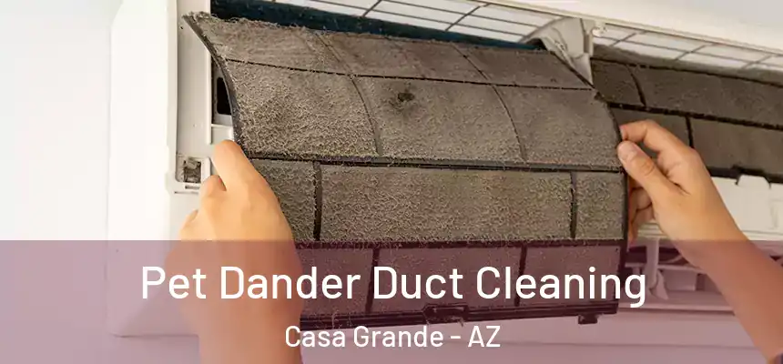 Pet Dander Duct Cleaning Casa Grande - AZ
