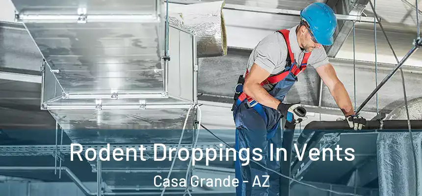  Rodent Droppings In Vents Casa Grande - AZ