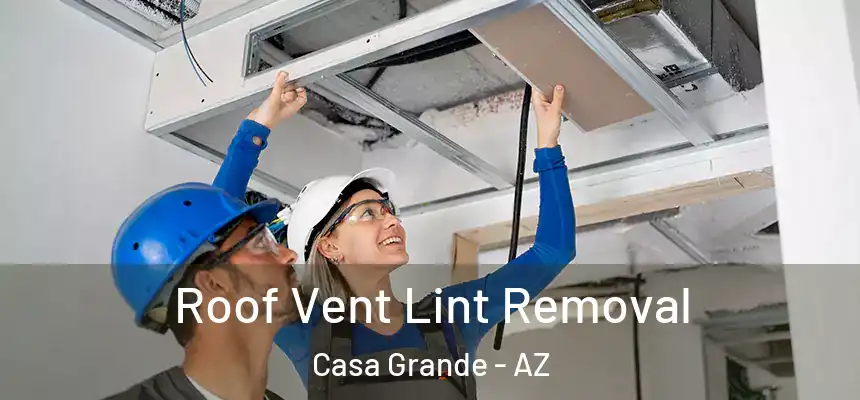  Roof Vent Lint Removal Casa Grande - AZ