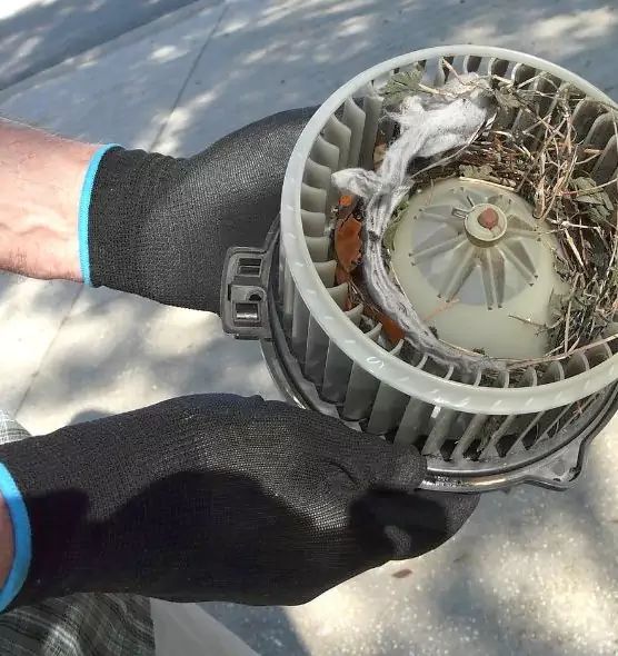 About Air Duct Rat Removal in Casa Grande, AZ