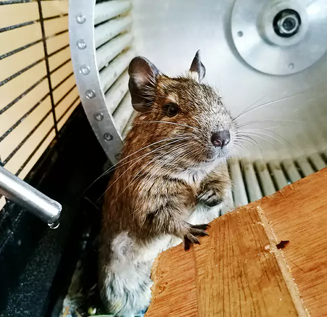 Why Homeowners & Businesses Trust Us Casa Grande, AZ