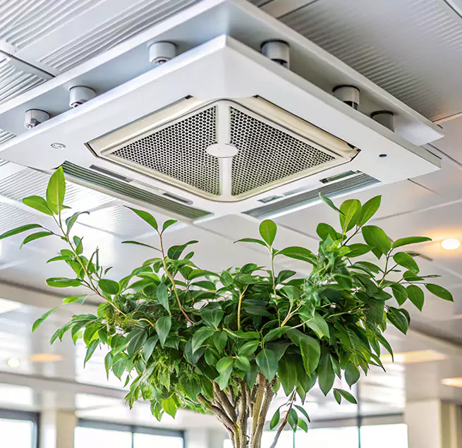 Why Homeowners & Businesses Trust Us in Casa Grande, AZ?